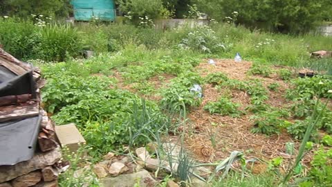 Yard in France