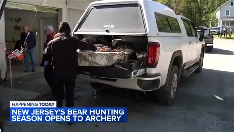 New Jersey's bear hunting season opens to archery