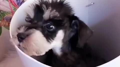A gift