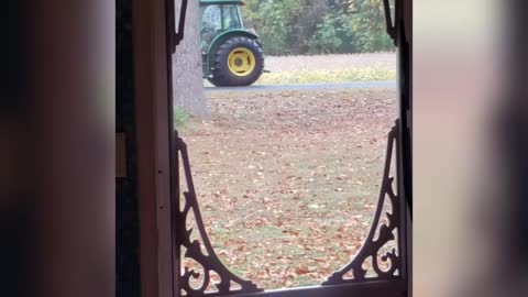 Curious Cilly Kitty