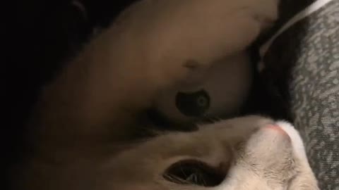 It moves very smoothly