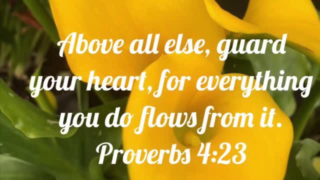 Guarding Our Heart, Taking Every Thought Captive