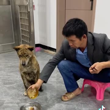 እሰኪ እንሳቅ