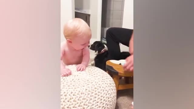 Best baby laughing moments video