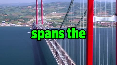 Tallest bridges created in human history