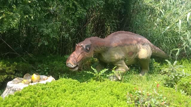 Dinosaur laid eggs