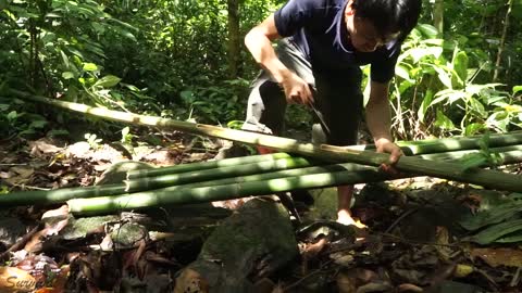 Primitive Technologically Taking Water From STREAM TO BAMBOO