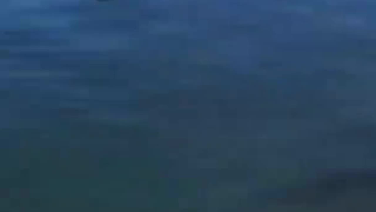 Try_not_to_laugh🤣_Funny_animals😹‖_#shorts__#funnyvideos