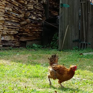 We all want to live on earth!