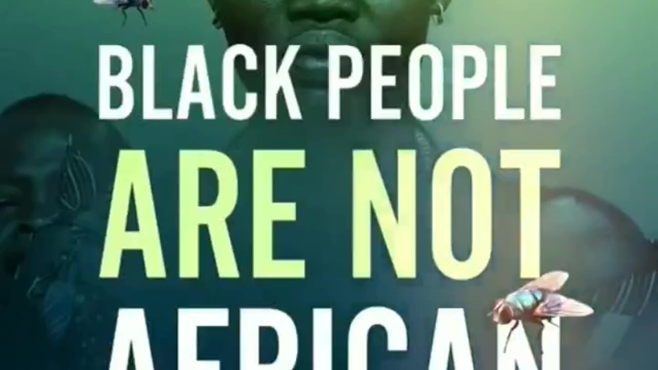 So Called Afro Americans, Black People, Afrolatinos, Are NOT African