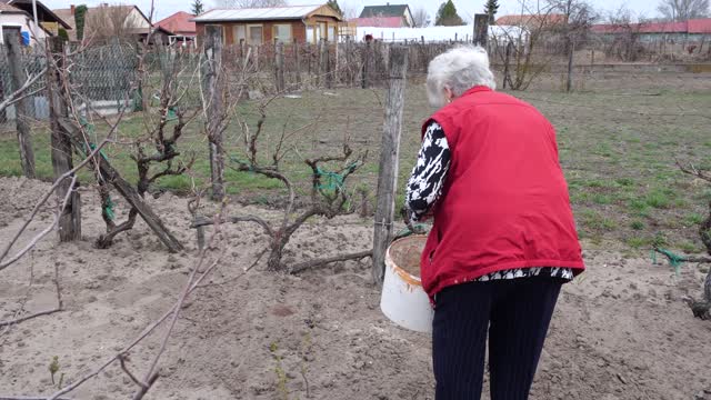 Parkinson-kór és a Proinzulin C-Peptid