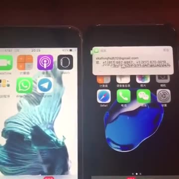 20170827文贵先生视频²：盗国贼们的疯狂与愚蠢 这样的黑客攻击方式是最好的证明文贵的爆料是真实