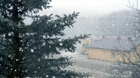 hermosa naturaleza tormenta de nieve