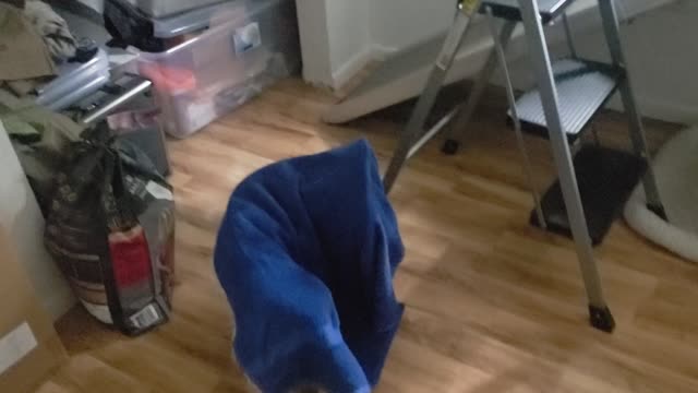 Blue towel 2