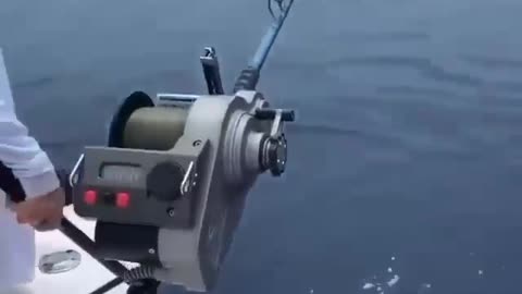 Auto Fishing machine 🐟🎣