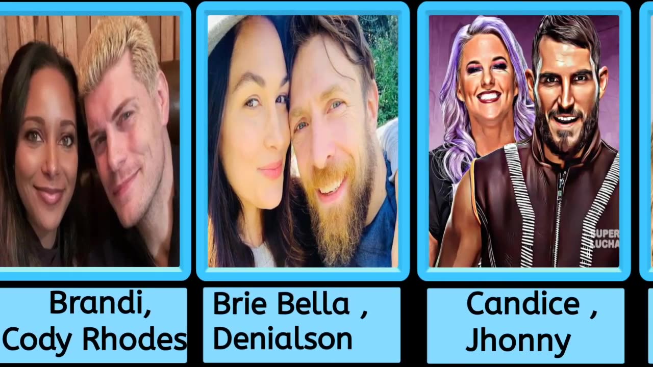 WWE married couples all view