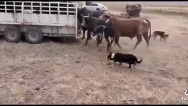 ROUND UP TIME
