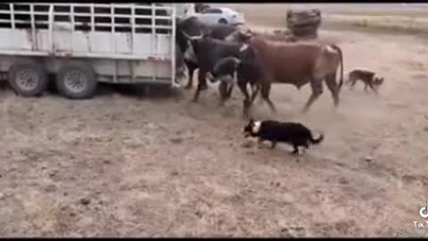 ROUND UP TIME