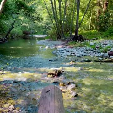 Rushing Creek in Big Sur | Relax with Water Sounds