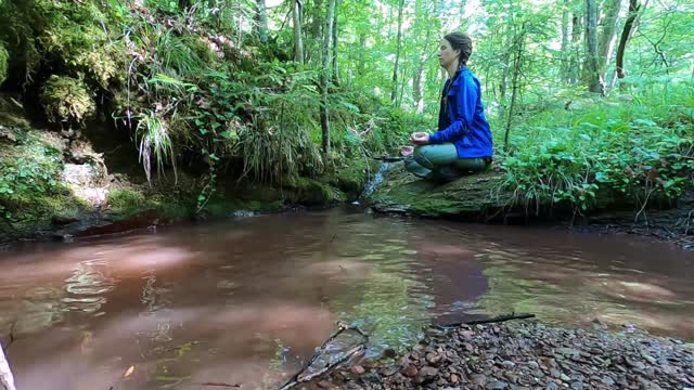 Watch how this dog plays while his friend does yoga