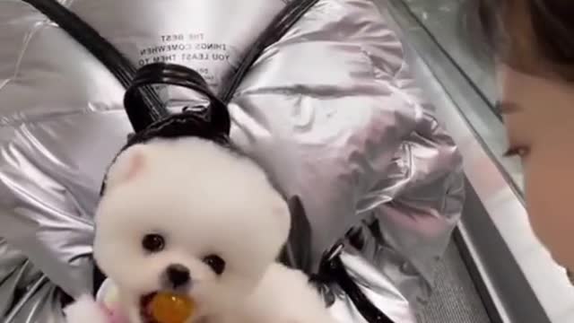 I want a piece of that sugar too 😂