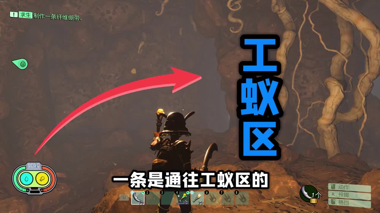 Fighting Ant And Giant Spiders Part.5