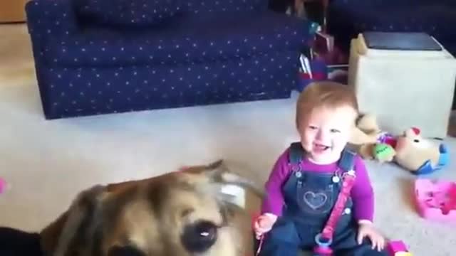 Funny video of baby & dog🐶