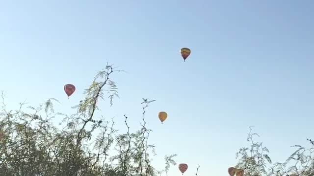 German Shepherd hates hot air balloons