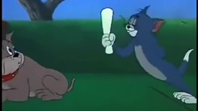 Try not to laugh funny animals 😹 #shorts