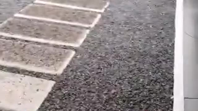 Lava in my backyard
