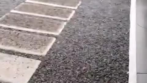 Lava in my backyard