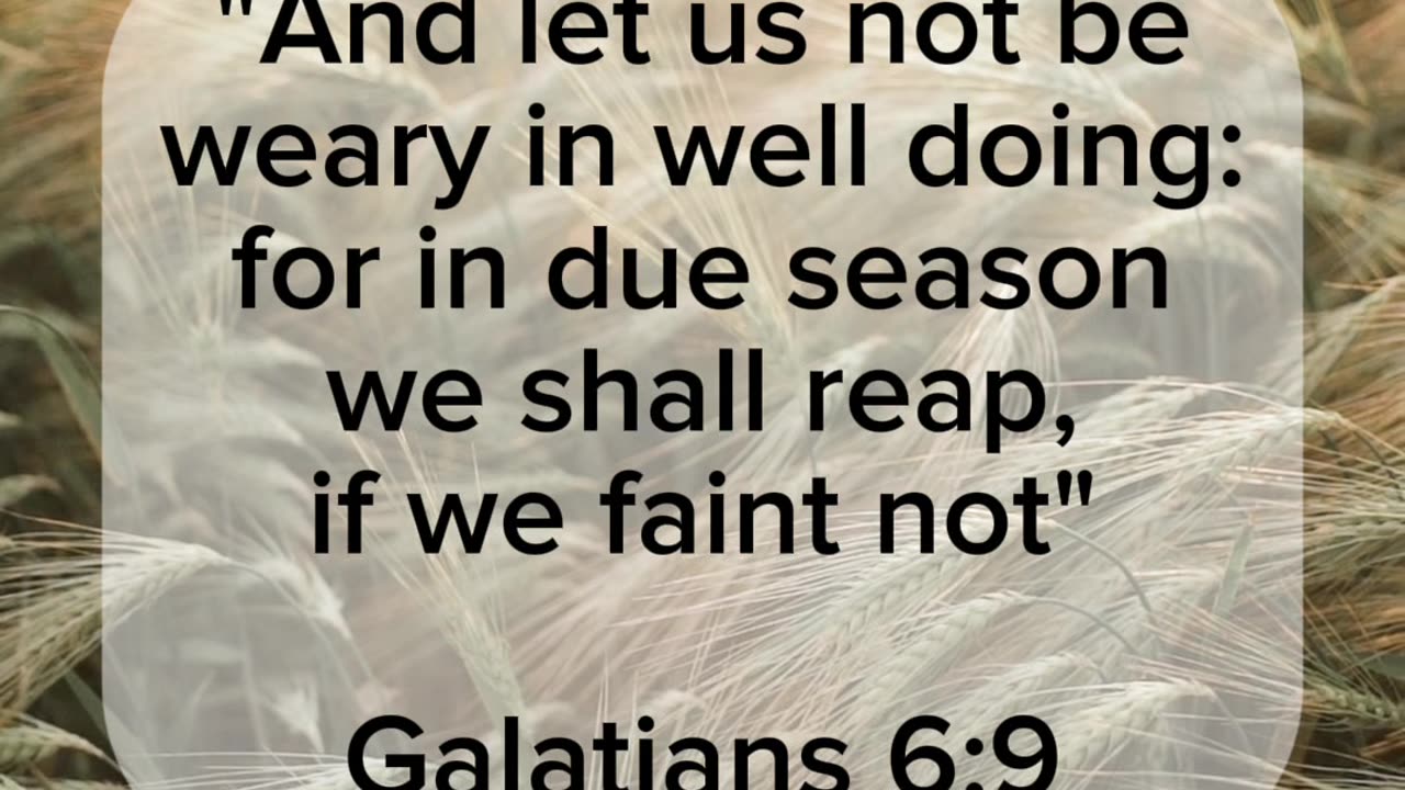 We shall reap | Galatians 6:9 | #shorts #encouragement #scripture