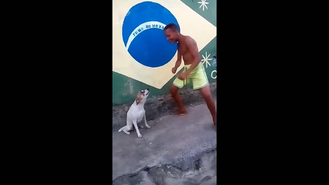 Hilarious dancing dog