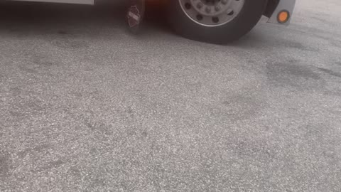 Movers life