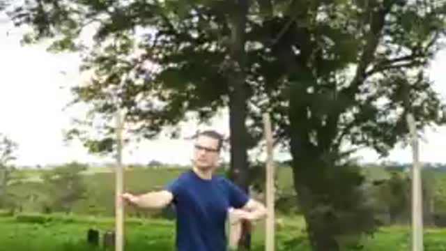 Forma 13 Movimentos Estilo Yang