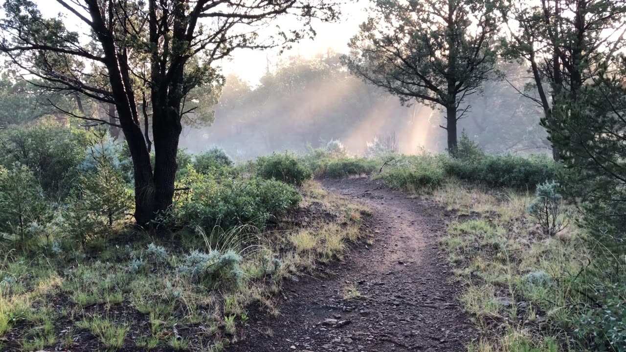 Early Fall morning