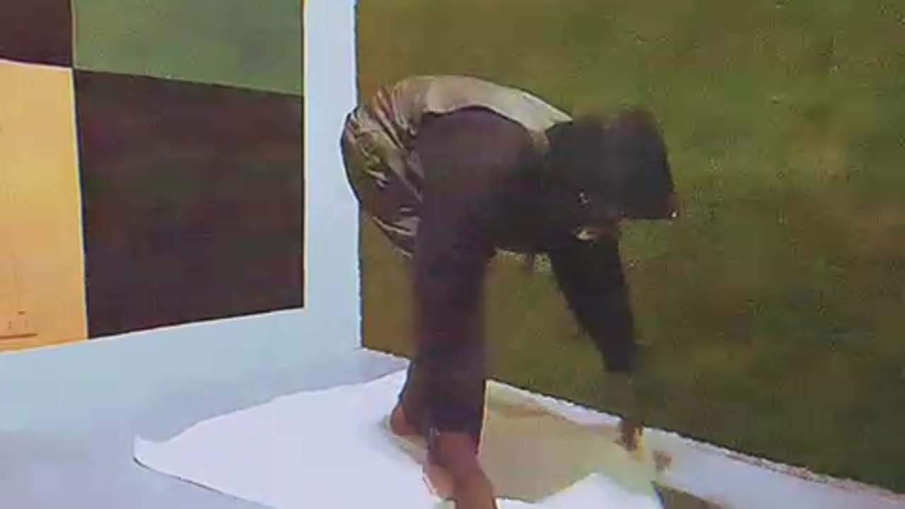 Vibe Killer: The First And Only Painted Art