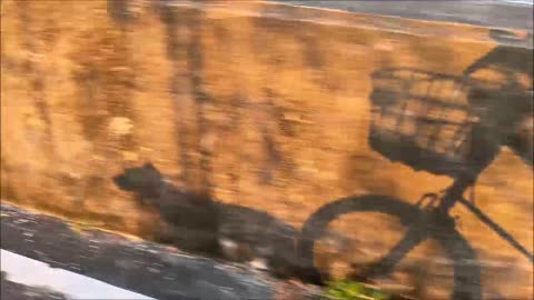 23_1117歐告 山線大里溪