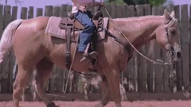 Young girl & her horse