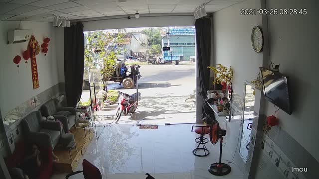 Dog Gets Got by Glass Door