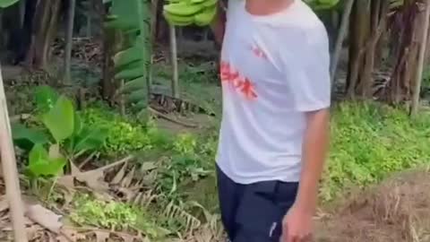 funny videos that make us laugh😆😆😁