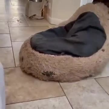 “This is my bed, no matter what”