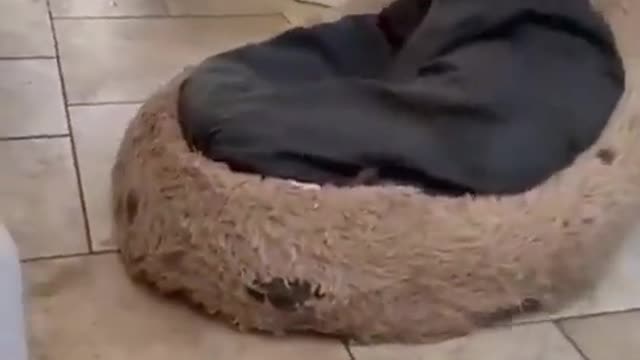 “This is my bed, no matter what”