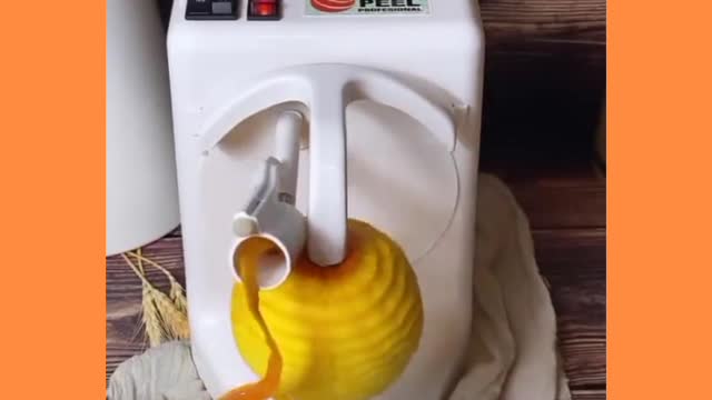 Fruit peeling machine