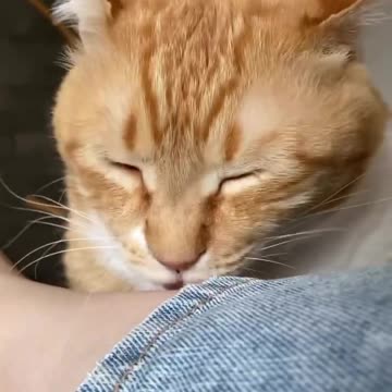 Have you seen this delicious ankle?