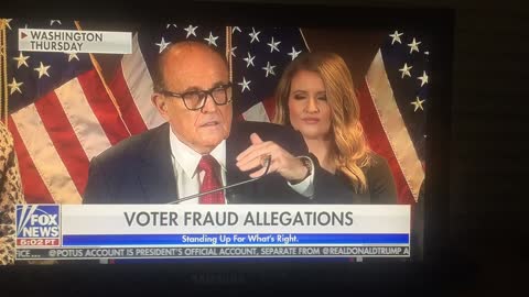 Watters on Detroit election fraud - affidavits