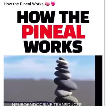 Pineal Gland