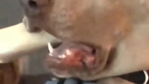Kkkkolha a cara dele de medoooooo