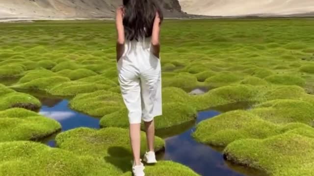 I put the beauty of the world