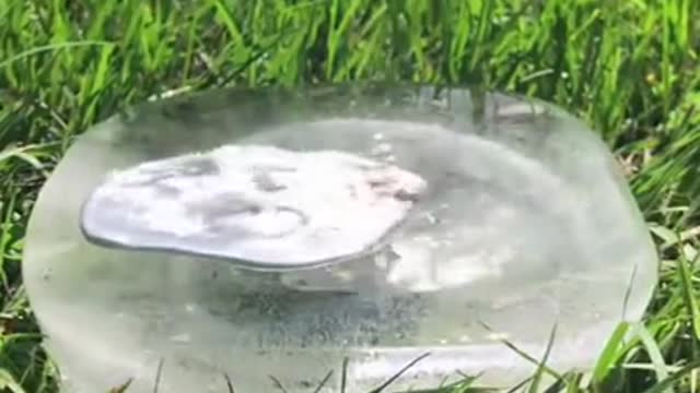 Look at this amazing water reaction